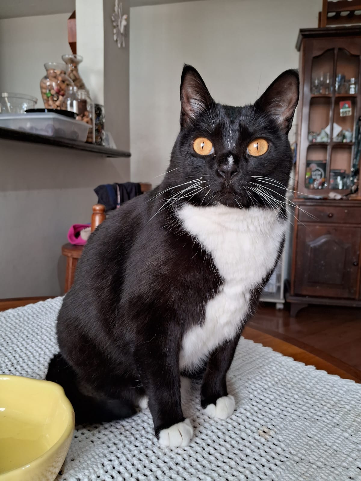 Brisa a Inspiração